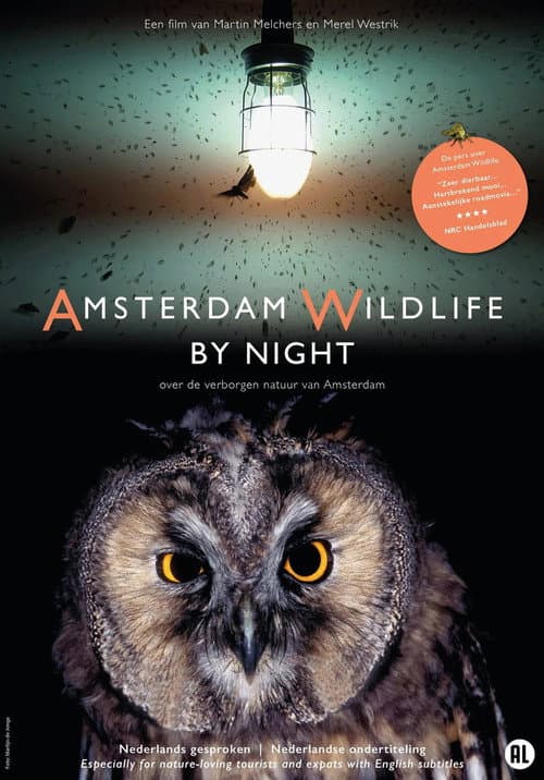 Amsterdam Wildlife by Night (NL)