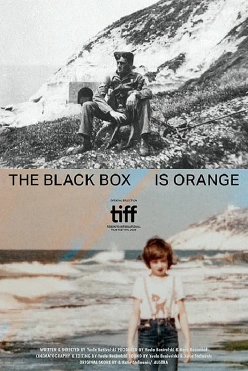 The Black Box Is Orange