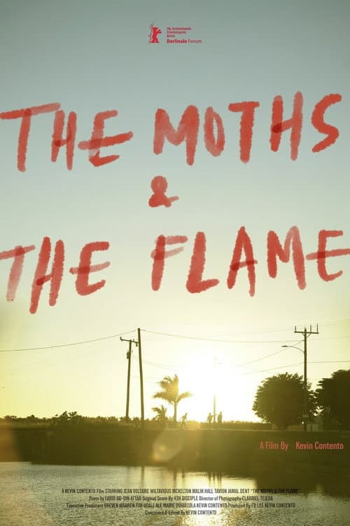 The Moths & the Flame
