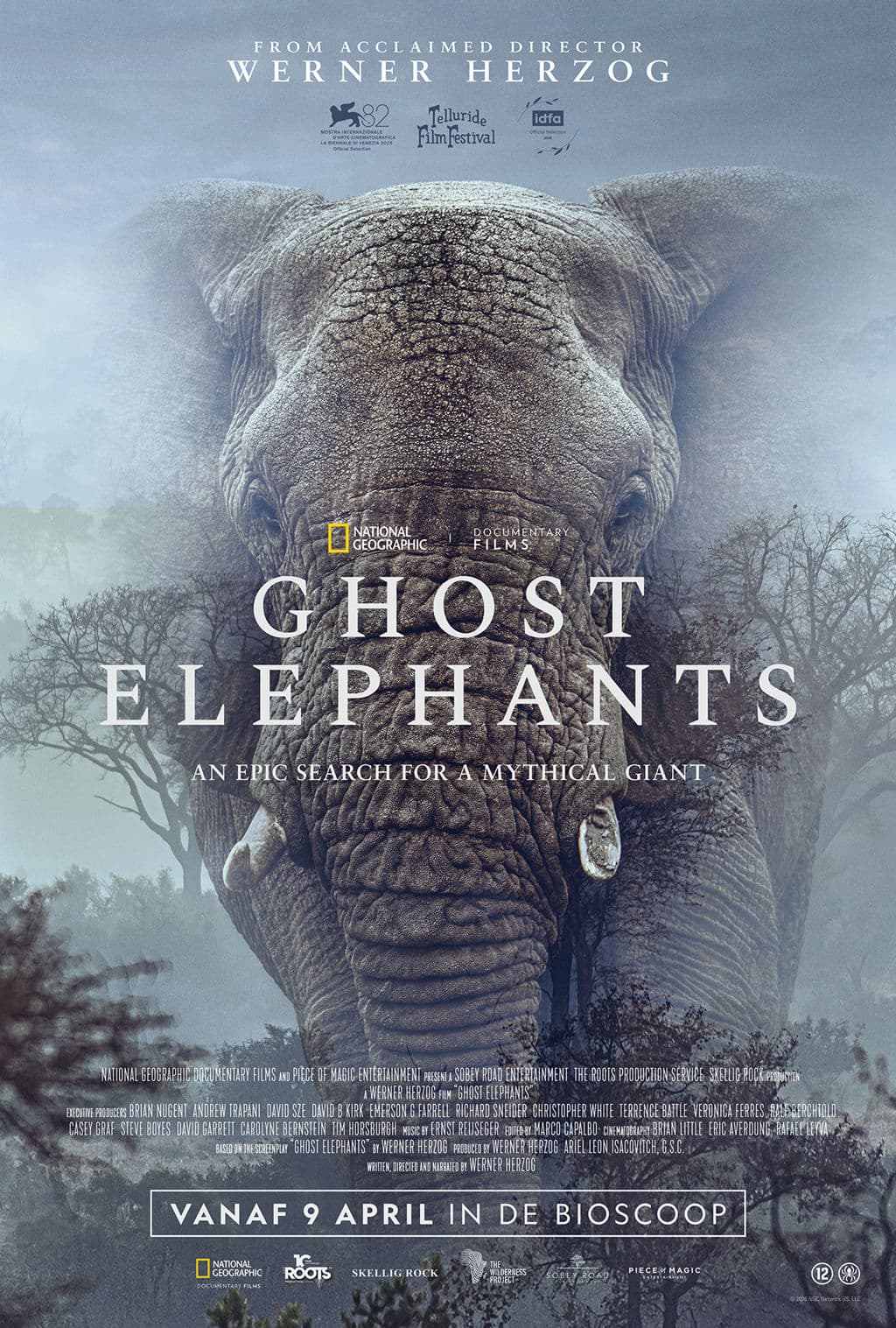 Ghost Elephants